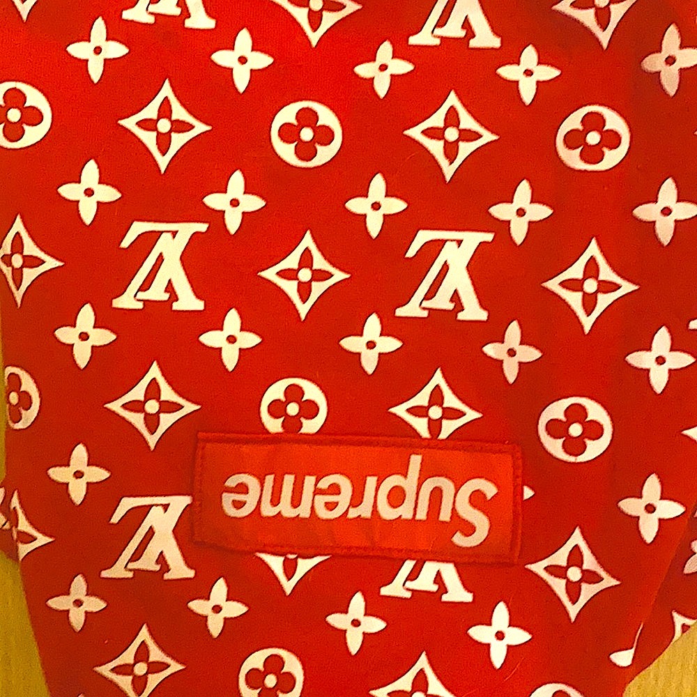 Pawmain “Pupreme” Supreme x Louis Vuitton Collab - Inspired Hoodie for Dogs - Picture 8 of 11